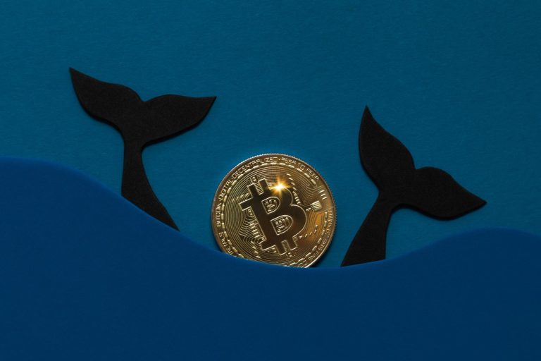 Bitcoin Whales Are Bullish, Rally Incoming?