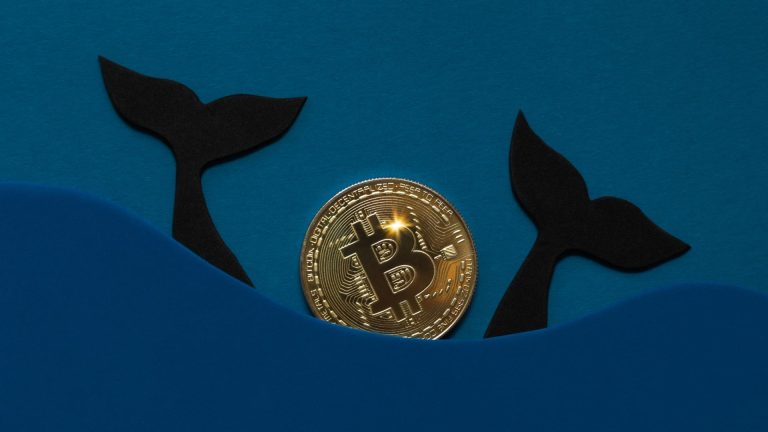 Bitcoin whales are buying, they know something what we don’t?